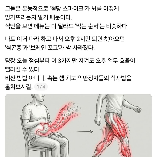 피드 이미지