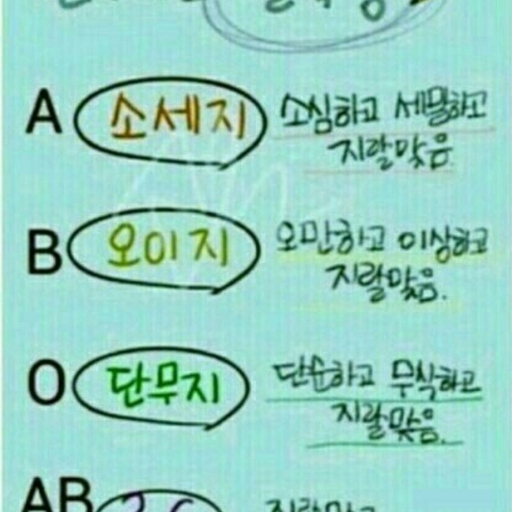 피드 이미지
