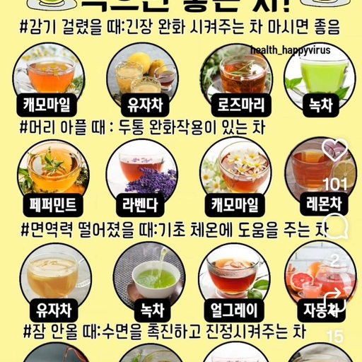 피드 이미지