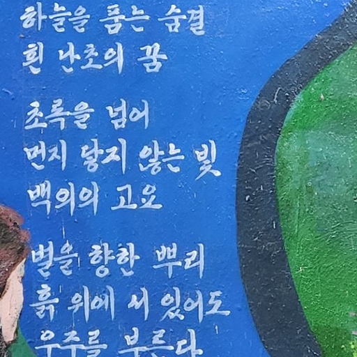 피드 이미지