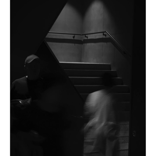피드 이미지