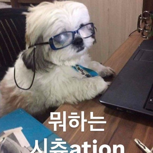 피드 이미지