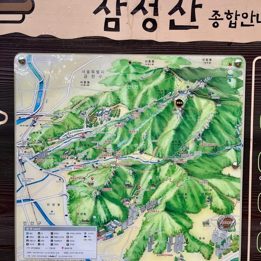 피드 이미지