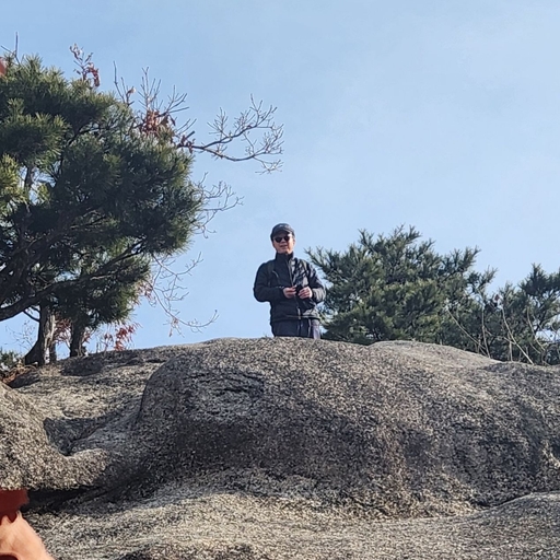 피드 이미지