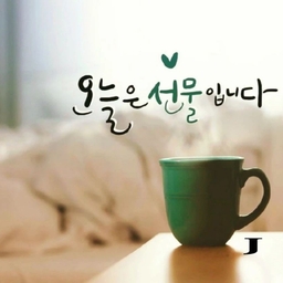 피드에 업로드 된 이미지