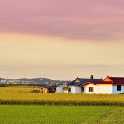 피드에 업로드 된 이미지