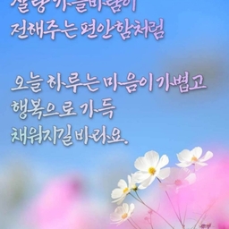 피드에 업로드 된 이미지