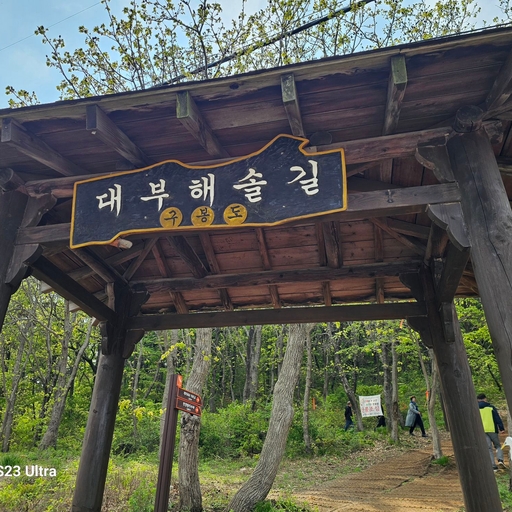 피드 이미지