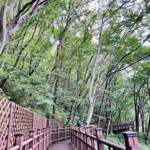 ํผ๋ ์ด๋ฏธ์ง