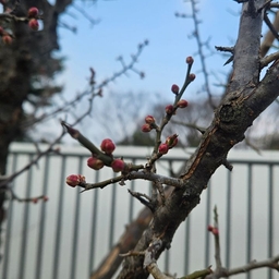 피드에 업로드 된 이미지