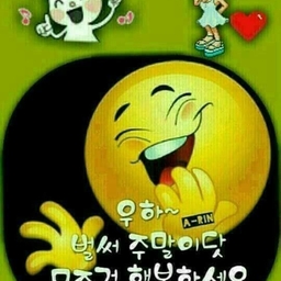 피드에 업로드 된 이미지