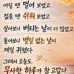 피드에 업로드 된 이미지