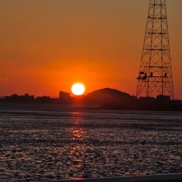 피드에 업로드 된 이미지