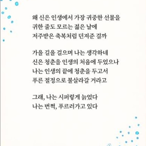 피드 이미지