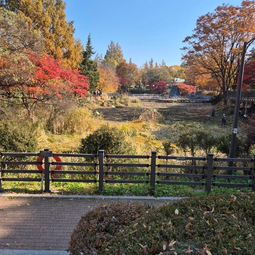 모임 대표 이미지