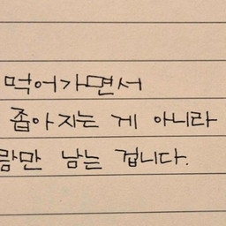 피드에 업로드 된 이미지