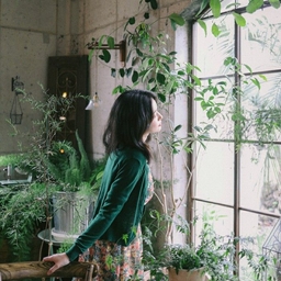 피드에 업로드 된 이미지