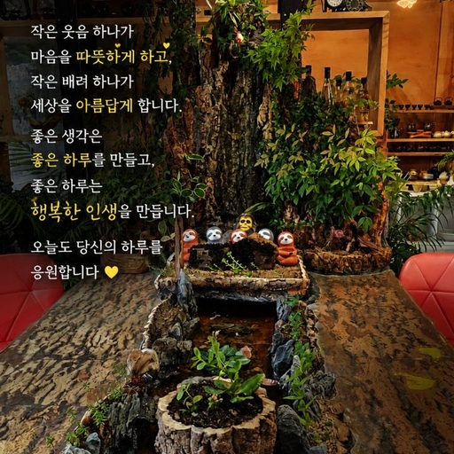 피드 이미지
