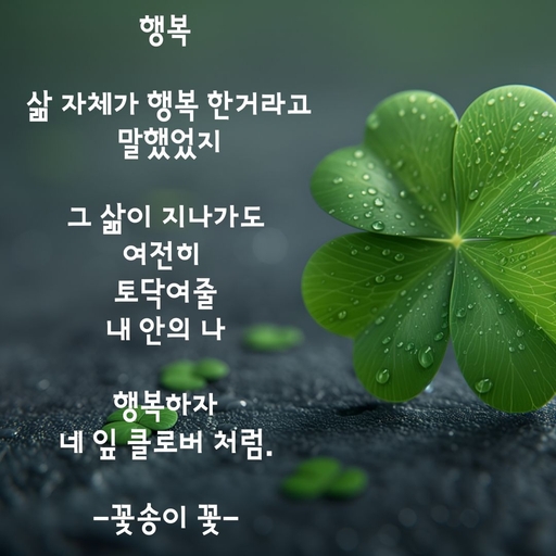 피드 이미지