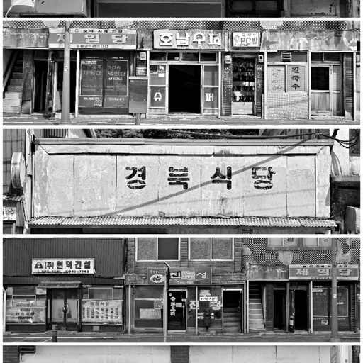 피드 이미지