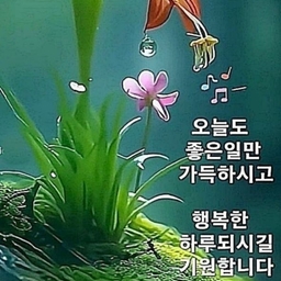 피드에 업로드 된 이미지