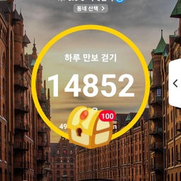 피드에 업로드 된 이미지