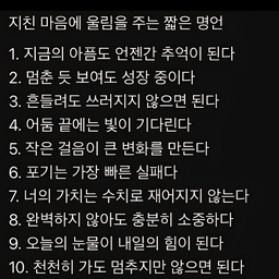 피드에 업로드 된 이미지