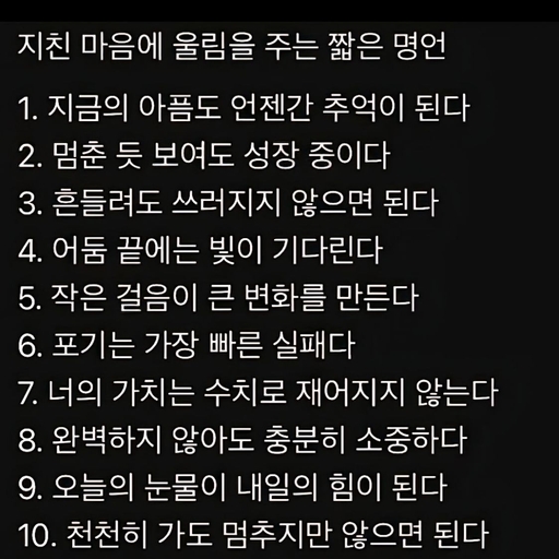 피드 이미지