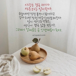 피드에 업로드 된 이미지