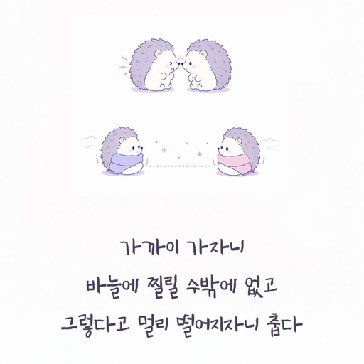 피드 이미지