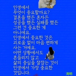 피드에 업로드 된 이미지