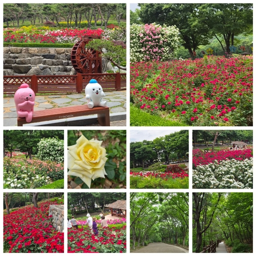 피드 이미지