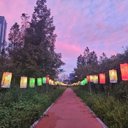 피드에 업로드 된 이미지