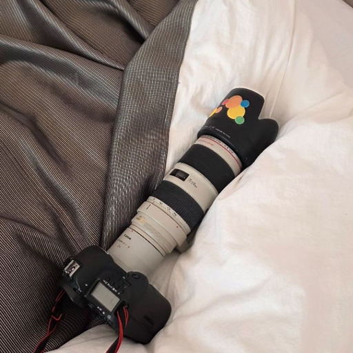 피드 이미지