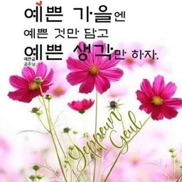 피드에 업로드 된 이미지