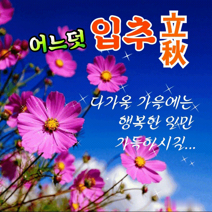 피드 이미지