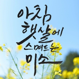 피드에 업로드 된 이미지