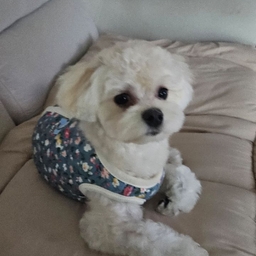 피드에 업로드 된 이미지