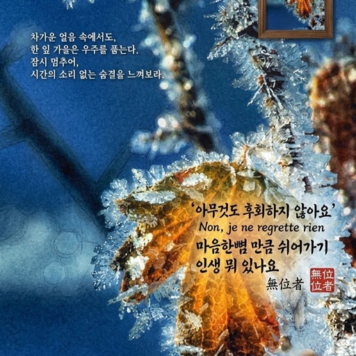 피드 이미지
