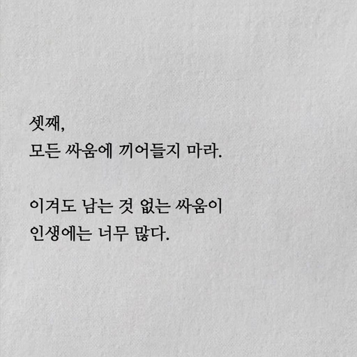 피드 이미지