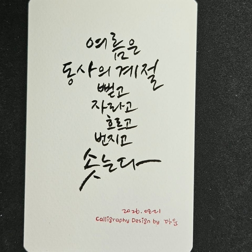 피드 이미지