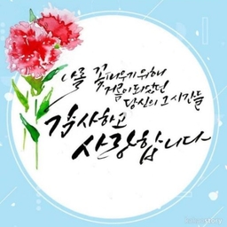 피드에 업로드 된 이미지