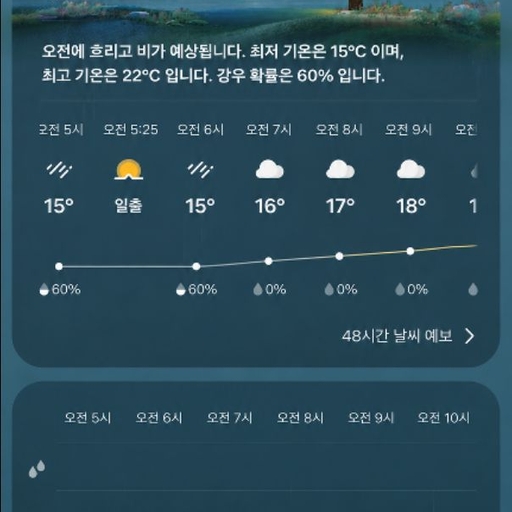 피드 이미지