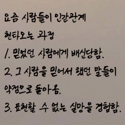 피드에 업로드 된 이미지