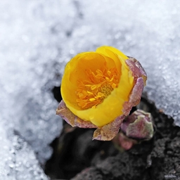 피드에 업로드 된 이미지
