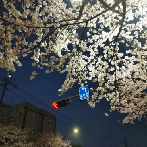 피드 이미지