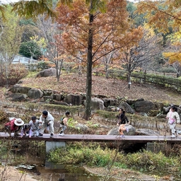 피드에 업로드 된 이미지