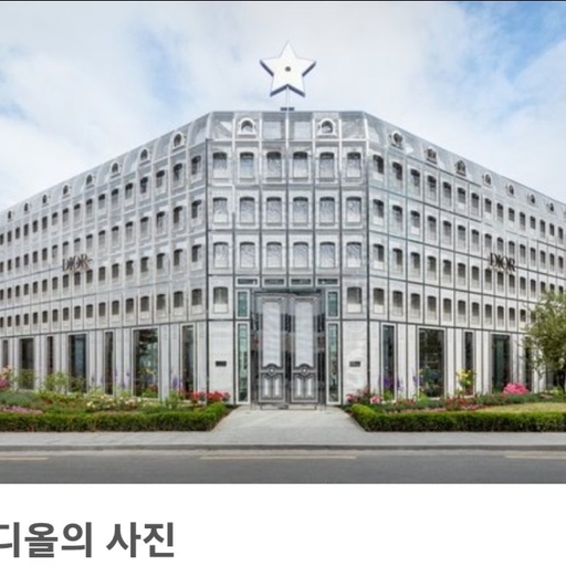 피드 이미지
