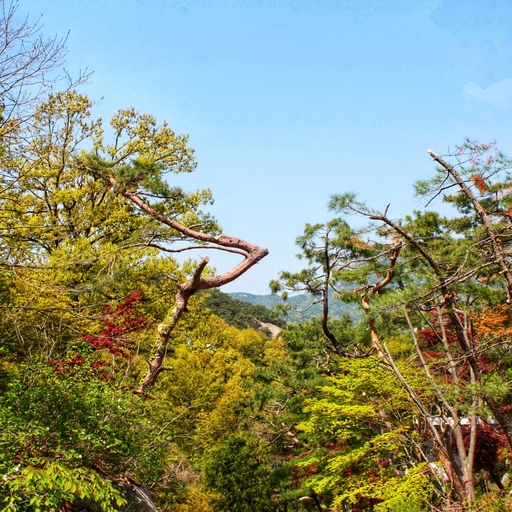 피드 이미지