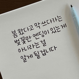 피드에 업로드 된 이미지